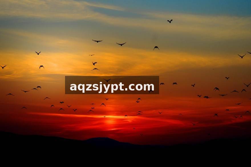 球友体育赛事战报与专业分析服务